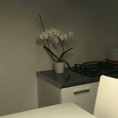 Apartman Rijeka