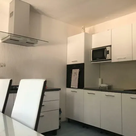Apartman Rijeka * רייקה